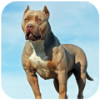 ȮģPitbull Dog Simulatorv1.0.4 ׿