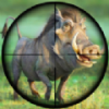 Pig Hunting Shooting Gamev1.0.11 ׿