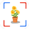 ʶappv1.1 ׿