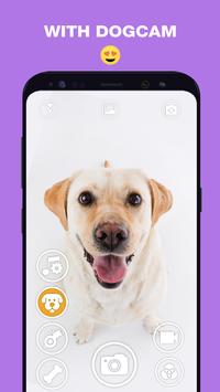 DogCamСv2.9 ׿