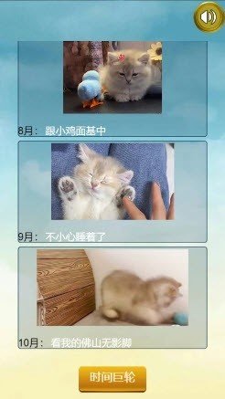 猫的一生重启模拟器v230 安卓版