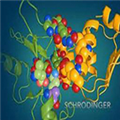 schrodinger suites注册机v2021 最新版