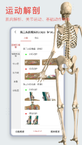 3Dbody解剖学app苹果版