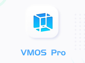 VMOS Pro°ƽvip