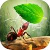 Little Ant Colony(СϲϷ)v1.0.0 ׿