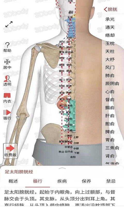 3DbodyѨλAppv1.0.0 ׿