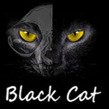 èBlack Cat