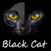 èBlack CatⰲװӲ̰