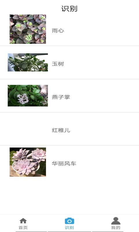 植物图鉴appv1.0 免费手机版