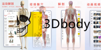 3Dbody