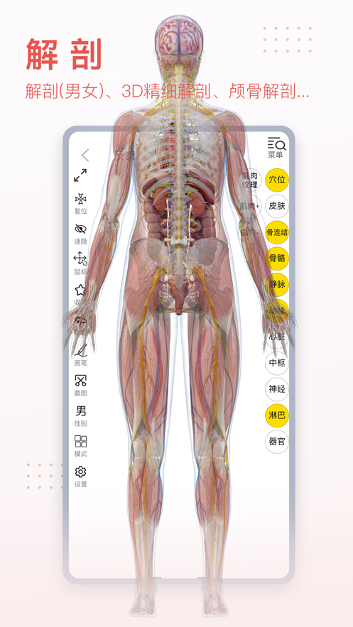 3Dbodyappv8.8.20 °