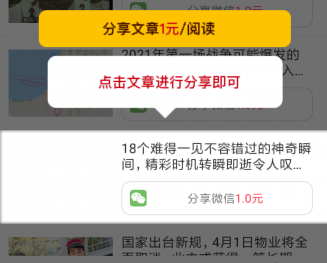 盈利网app