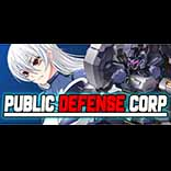 2Public Defense Corp