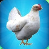 Chick Simulator(ҵļģ)v1.0 ׿