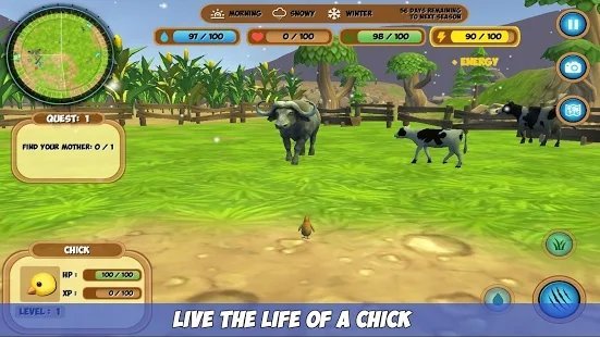 Chick Simulator(我的鸡模拟器)v1.0 安卓版