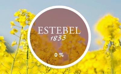 Estebel׿