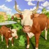 wild angry bull attack simulator(ŭţģ)v1.0 ׿