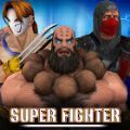 Day of Street Fighter(超级街头霸王)v1.0 安卓版