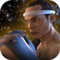 Muay Thai - Fighting Clash(̩ȭ2񶷳ͻ)v1.05 ׿