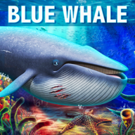 Blue Whale Simulator(蓝鲸模拟器)v1.1.5 安卓版