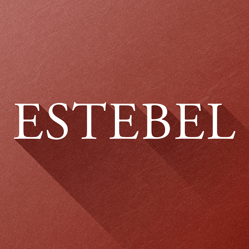 Estebel׿v4.0.4 °