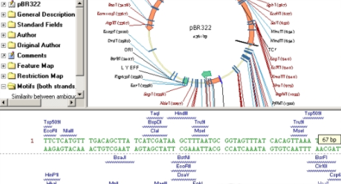 Vector NTIбȶv10.3 ٷ