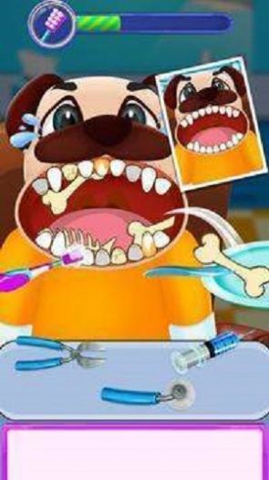 Animal Dentist(动物牙医手术)v1.5 安卓版