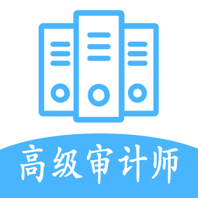 高级审计师丰题库appv1.1.4 安卓版