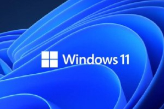 win11怎么打开IE浏览器 windows11的ie兼容性视图设置在哪里？