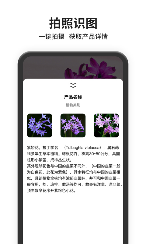 图片搜索appv1.0.0 最新版