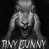 СTiny Bunnyⰲװ