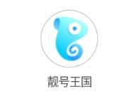 靓号王国app