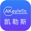 keyless˹