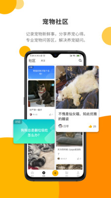 Paw Lab appv1.2.9 ׿