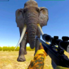 Jungle Hunt Safari(֮)v1.2 °