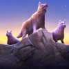 Wolf Simulator Evolution(ģ)v1.0.30 ֻ
