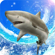 SharkFishing(Ұ㴹)v1.0.7 °