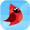 Red Bird!()v2.64 ׿