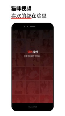 猫咪视频appv1.0.0 安卓版