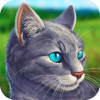 Cat Simulator - Animal Life(è3Dģ)v1.0.0.9 ׿