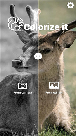 Colorize It appv1.1.10 ׿