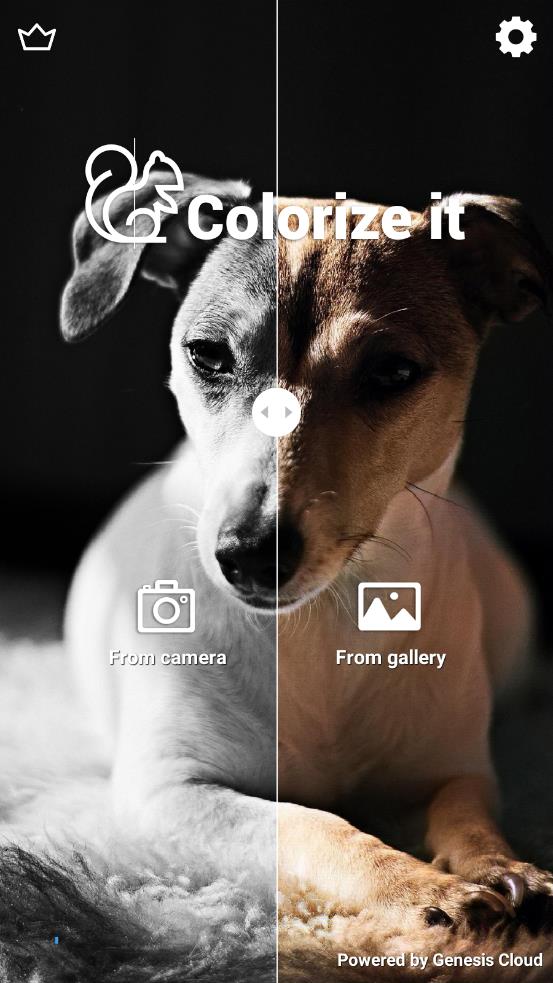Colorize It appv1.1.10 安卓版