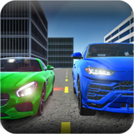 Real World Driver(ʵʻԱ)v1.5.4 ׿