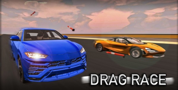 Real World Driver(ʵʻԱ)v1.5.4 ׿