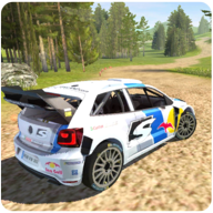 Project Car Rally()v0.095 ׿