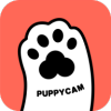 puppycamιʳv1.10.2 ֻ