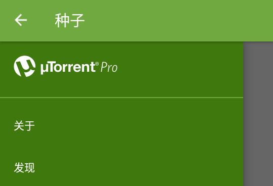 TorrentPro()