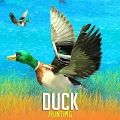 Wild Duck Hunting(ҰѼԼֻ)v1.1 ׿