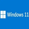 ׿Windows11ϵͳARMˢv22000.65 ٷ