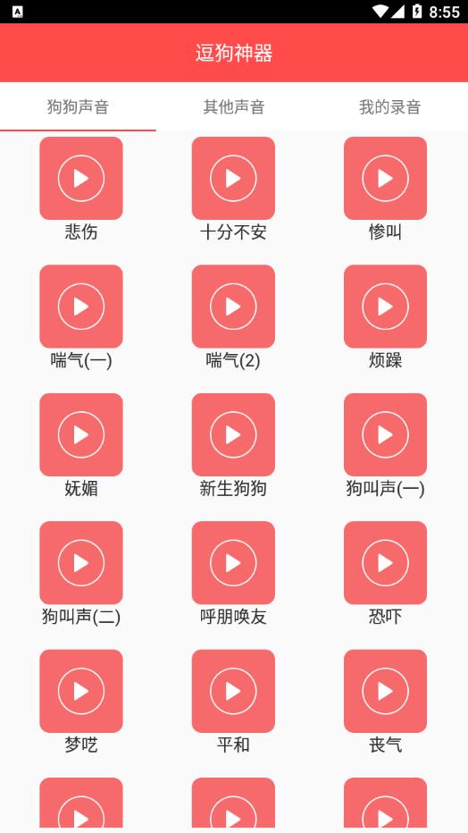 宠物宝appv1.5.0 手机版